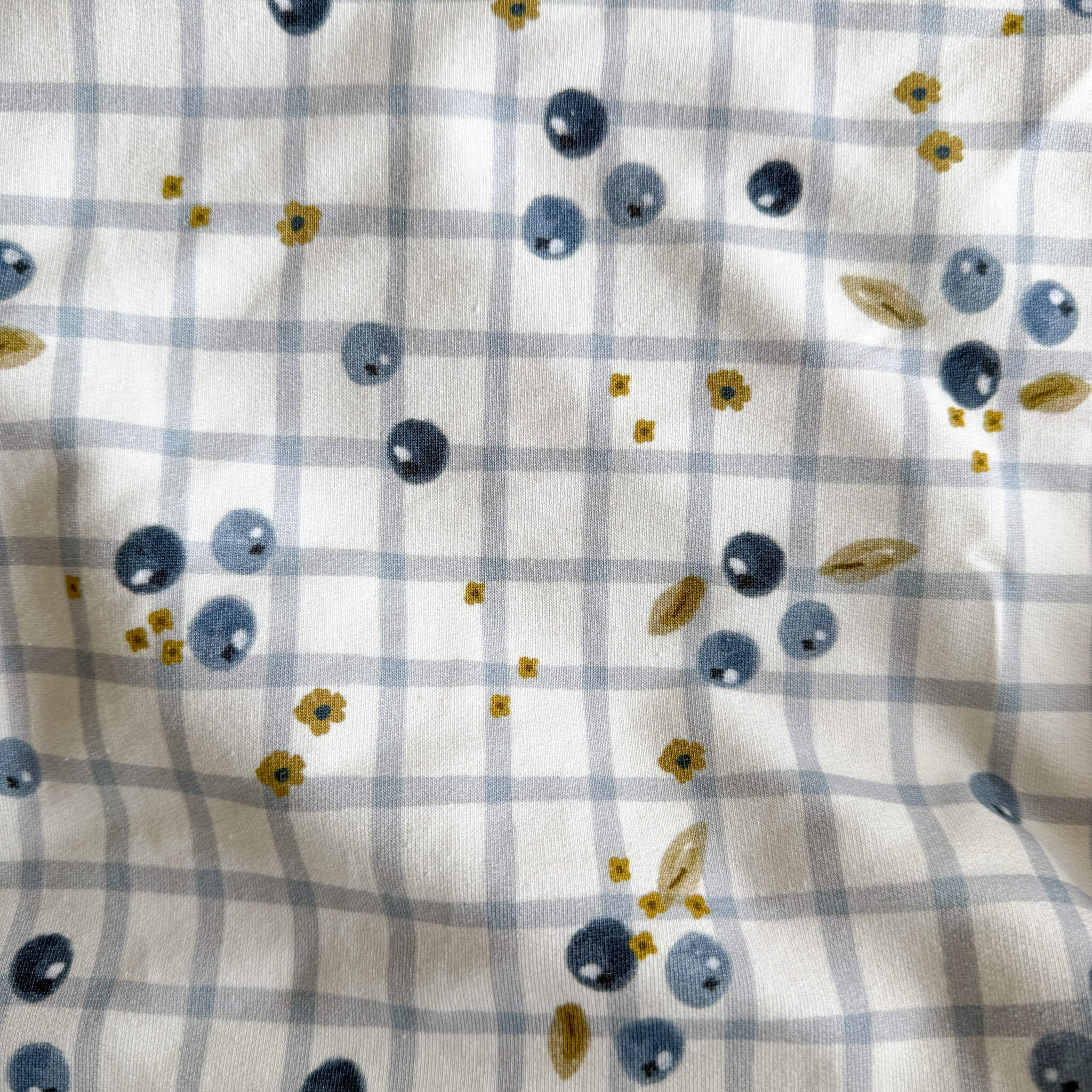 French Terry - Blueberries