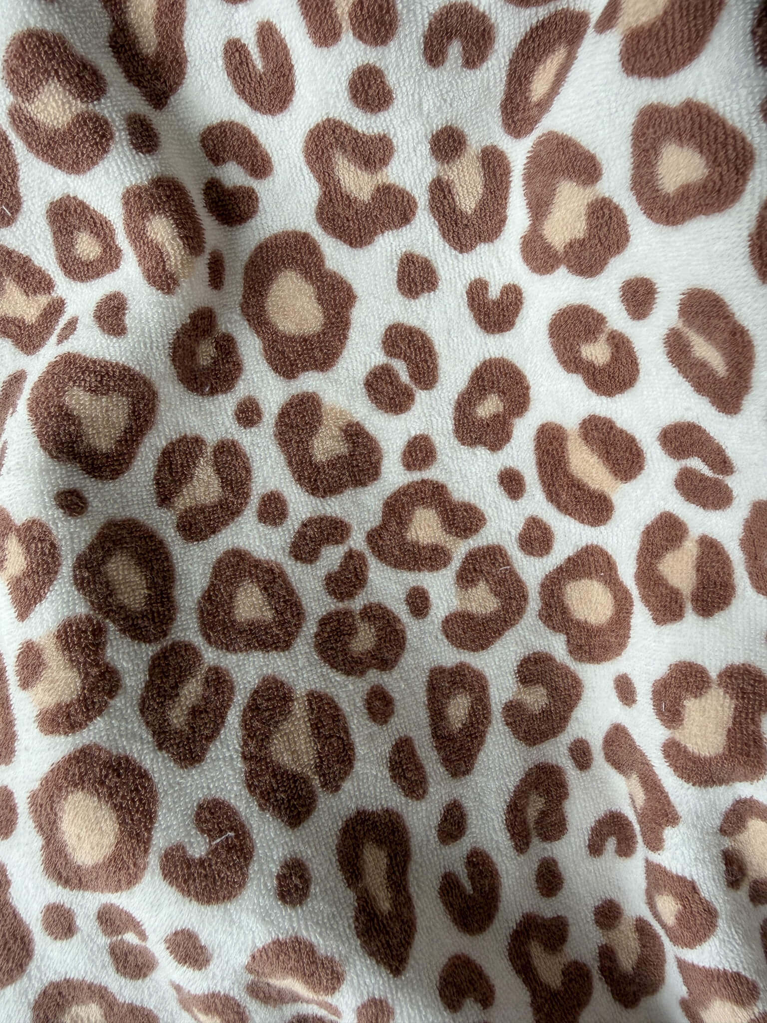 Cotton sponge jersey - Graou/Leopard