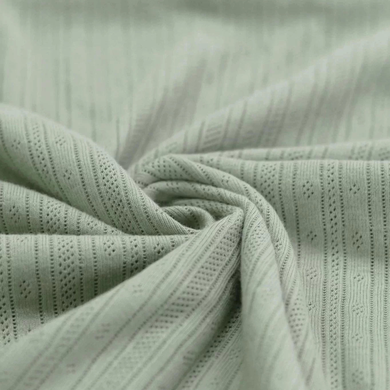 Jersey Pointelle - Sage Green